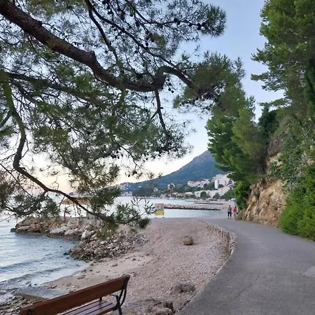 Apartament Sobe Kraft 2 *